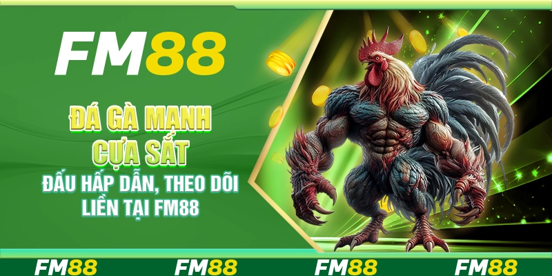 Đá Gà Mạnh Cựa Sắt Đấu Hấp Dẫn, Theo Dõi Liền Tại FM88