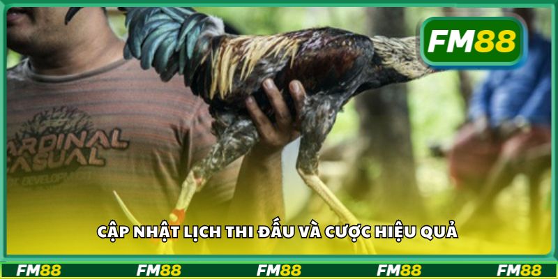 Cập nhật lịch thi đấu và cược hiệu quả