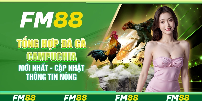 Tổng hợp đá gà Campuchia mới nhất - Cập nhật thông tin nóng