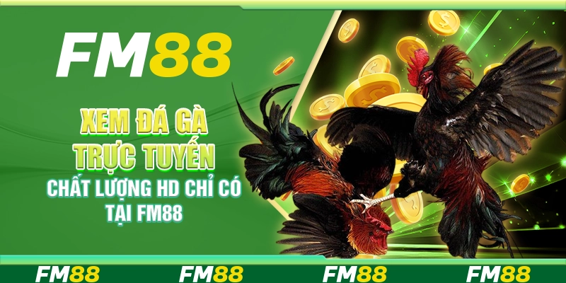 Xem Đá Gà Trực Tuyến Chất Lượng Hd Chỉ Có Tại FM88