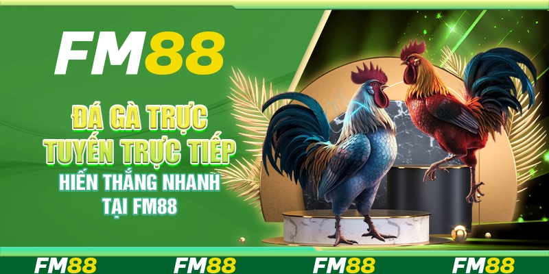 Đá Gà Trực Tuyến Trực Tiếp, Chiến Thắng Nhanh Tại FM88