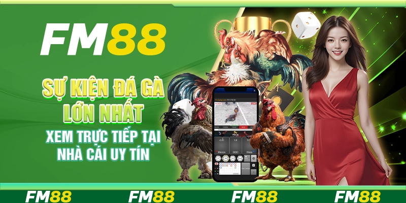 Sự Kiện Đá Gà Lớn Nhất, Xem Trực Tiếp Tại Nhà Cái Uy Tín