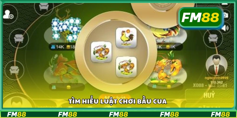 Cách chơi bầu cua cơ bản cho người mới bắt đầu
