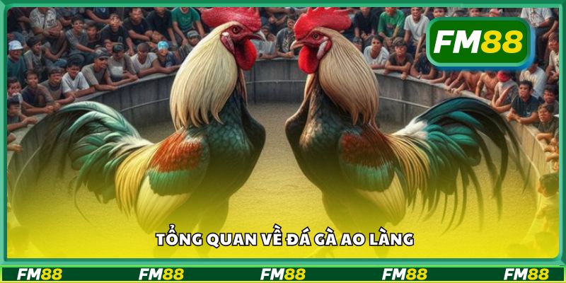 Tổng quan về đá gà ao làng