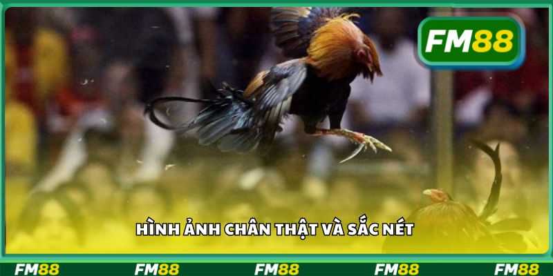 Hình ảnh chân thật và sắc nét