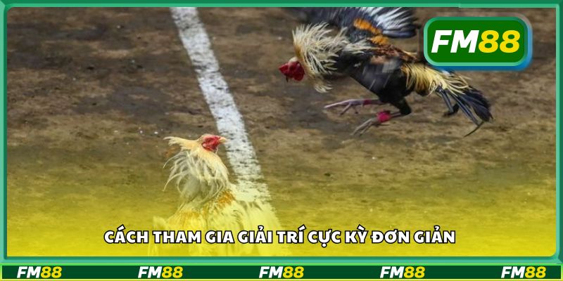 Cách tham gia giải trí cực kỳ đơn giản