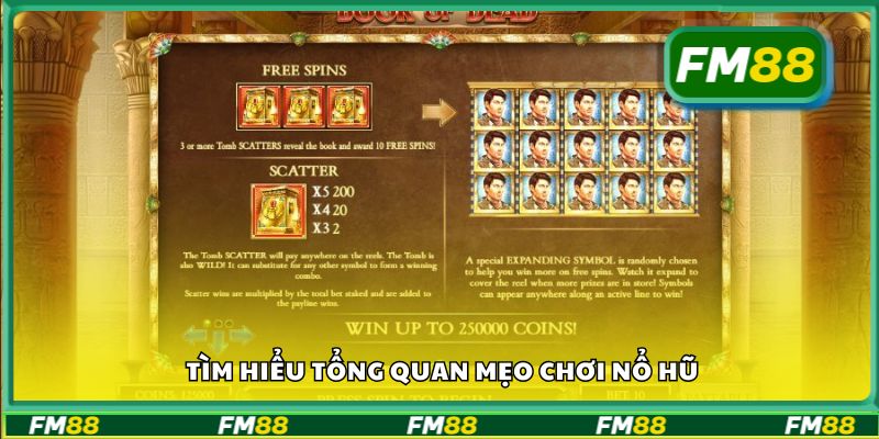 Tìm hiểu tổng quan mẹo chơi nổ hũ