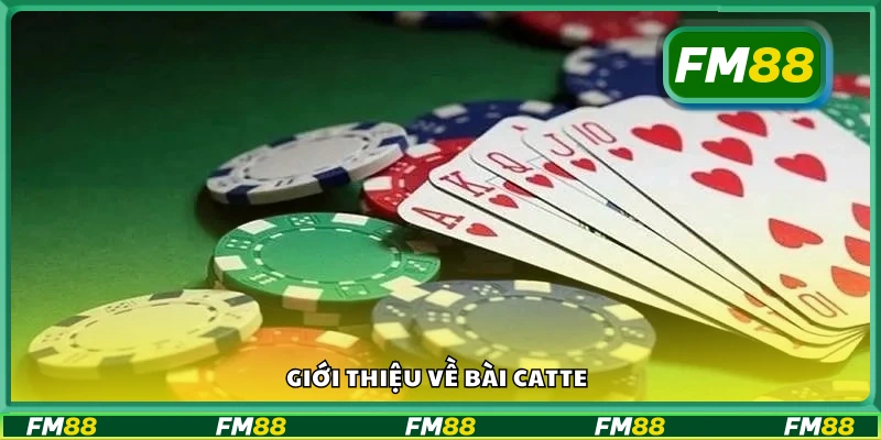 Khám phá cách chơi cơ bản của game bài Catte