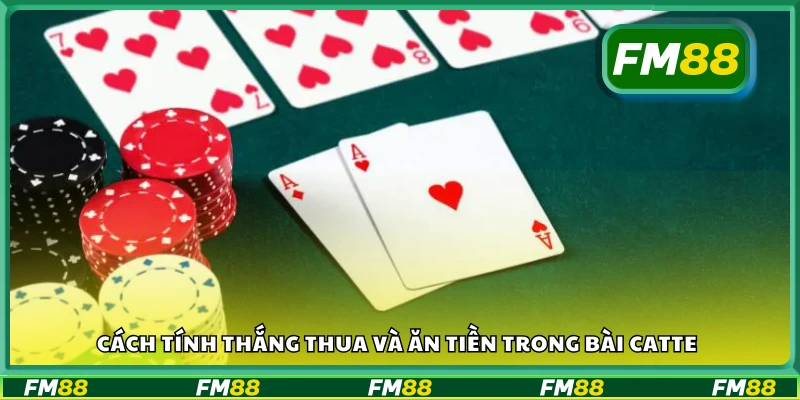 Hướng dẫn tính điểm và chia thưởng khi chơi Catte