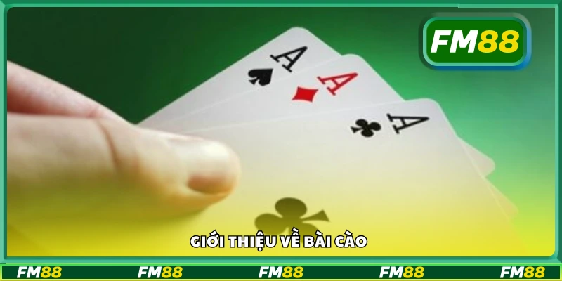 Vài nét cơ bản về bài cào