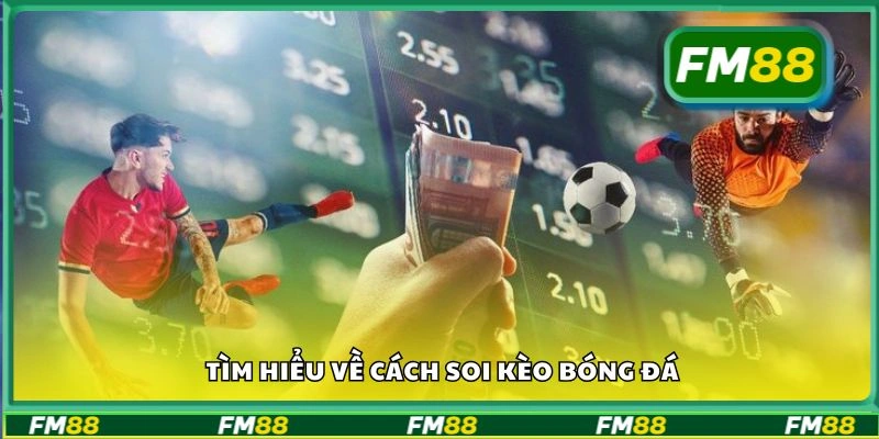 Tìm hiểu về cách soi kèo bóng đá