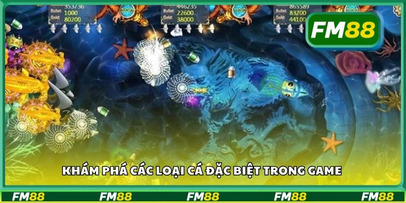 Khám phá các loại cá đặc biệt trong game