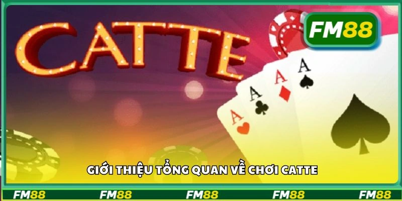 Giới thiệu tổng quan về chơi Catte
