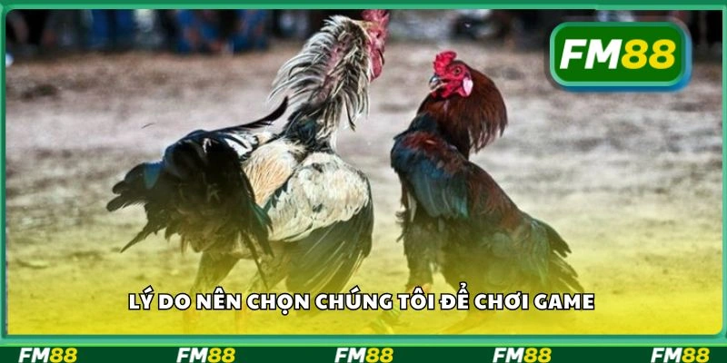 Lý do nên chọn chúng tôi để chơi game