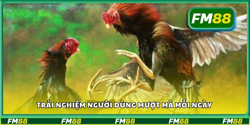 Trải nghiệm người dùng mượt mà mỗi ngày