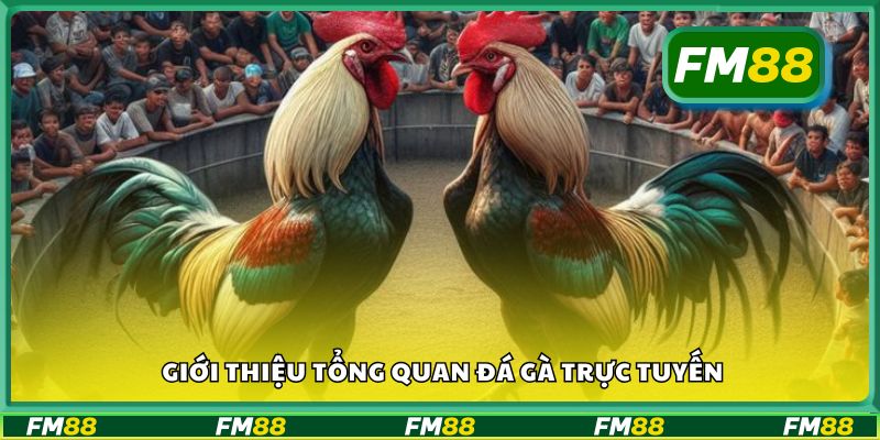 Giới thiệu tổng quan đá gà trực tuyến