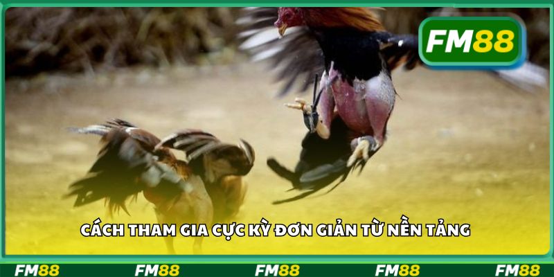 Cách tham gia cực kỳ đơn giản từ nền tảng