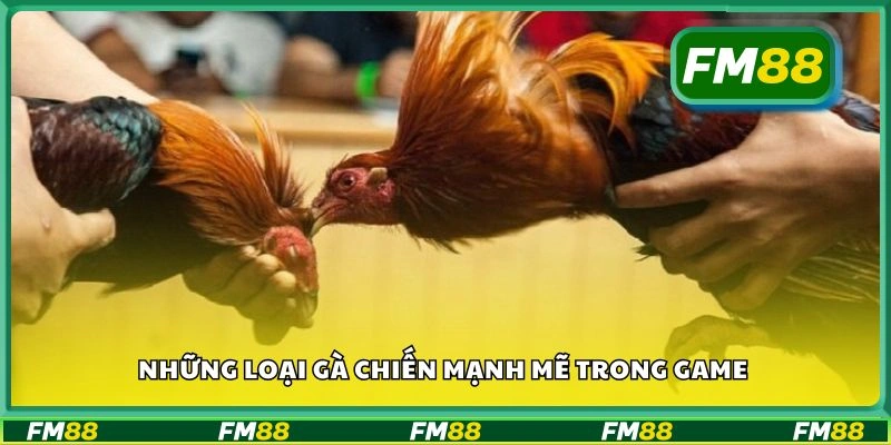Những loại gà chiến mạnh mẽ trong game