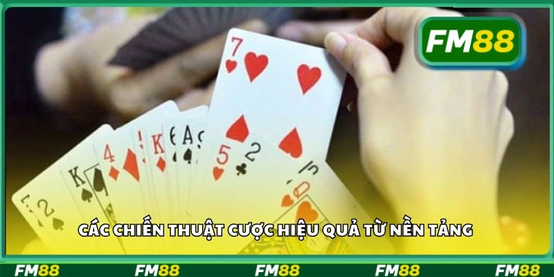 Các chiến thuật cược hiệu quả từ nền tảng