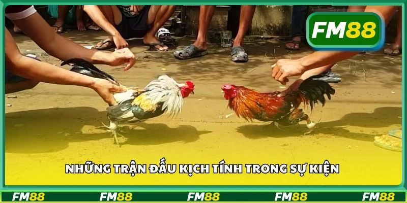 Những trận đấu kịch tính trong sự kiện