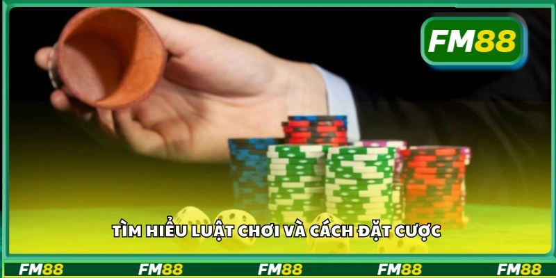Tìm hiểu luật chơi và cách đặt cược
