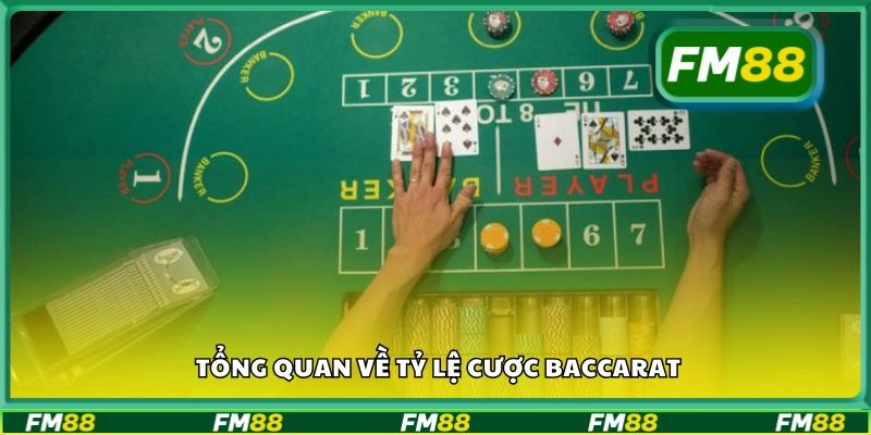 Tổng quan về tỷ lệ cược Baccarat