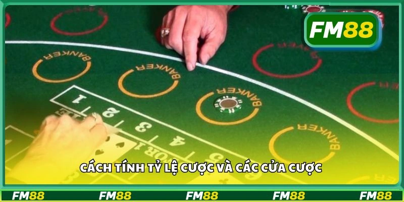 Cách tính tỷ lệ cược và các cửa cược