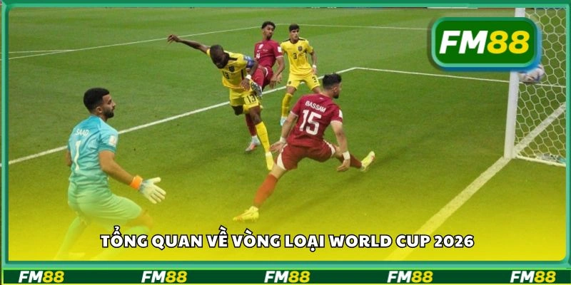 Tổng quan về vòng loại World Cup 2026