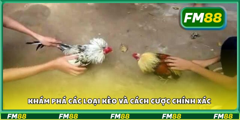 Khám phá các loại kèo và cách cược chính xác