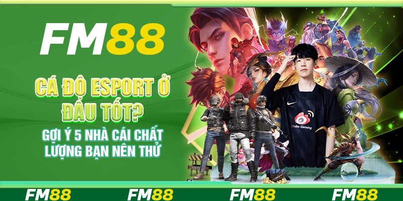 Cá độ esport nhà cái nào tốt? Gợi ý 5 nhà cái chất lượng bạn nên thử