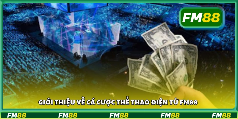 Tổng quan cá cược thể thao điện tử tại FM88