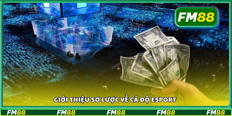 Tổng quan cá cược Esport là gì?
