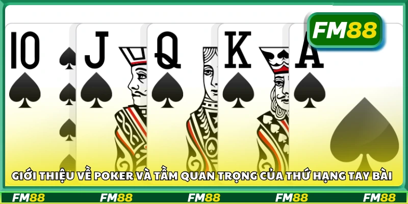 Khám phá trò chơi Poker