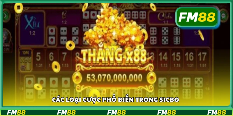 Một số loại cược phổ biến trong Sicbo