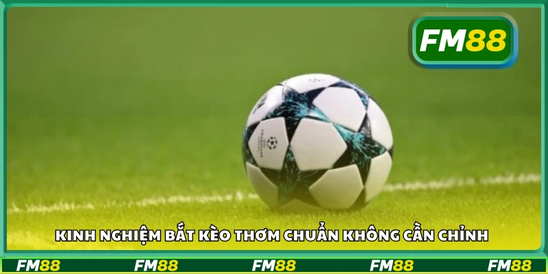 Kinh nghiệm bắt kèo thơm hiệu quả cho anh em