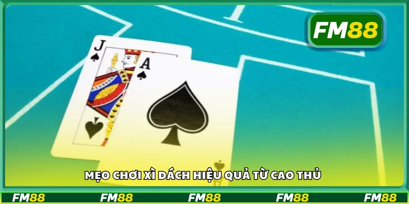Bật mí mẹo chơi xì dách hiệu quả từ cao thủ