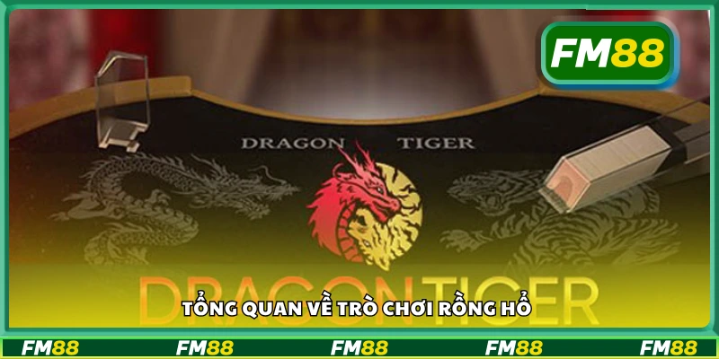 Bao quát về trò chơi Rồng Hổ